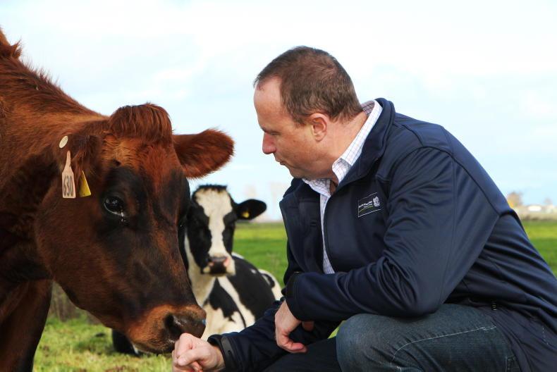 Kerry man who planned to play GAA in Chicago now advises New Zealand's PM