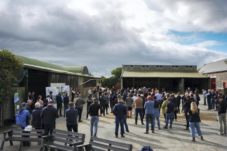 How livestock and tillage work together on a 340-acre Newgrange farm