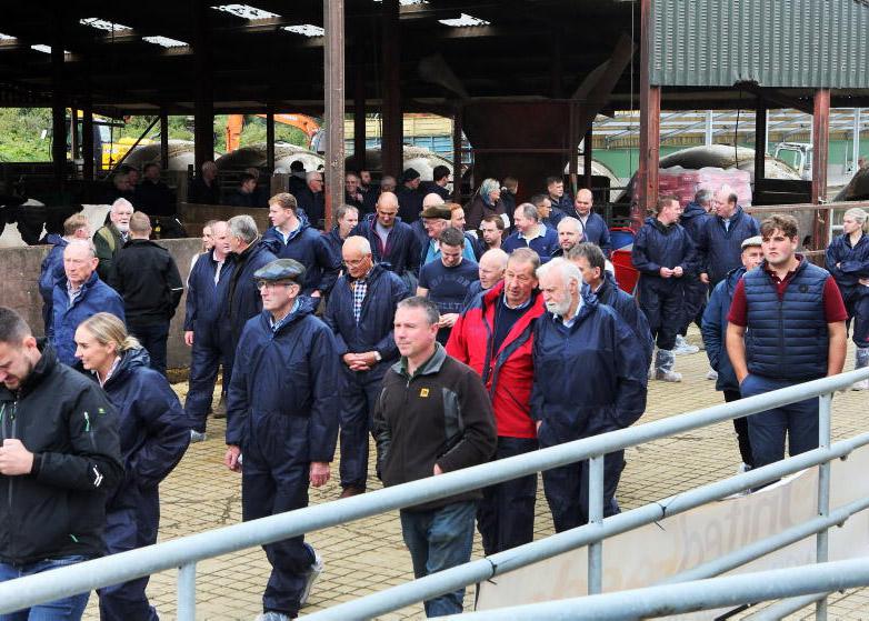 Dale Farm takes top spot in August league