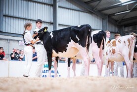 European Commissioner to officially open FBD National Dairy Show