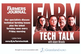 Farm Tech Talk: bluetongue, TAMS and the latest on farmgate prices