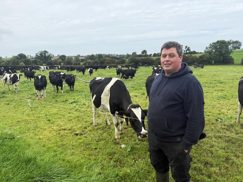 Wicklow dairy farmer's five-step plan to tackle a 50-day winter feed shortfall