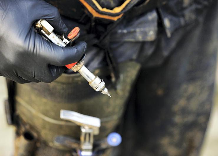 More than 1,000 herds go without TB test for past two years
