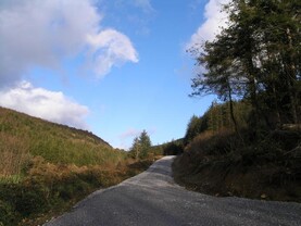 Why higher grants alone may not persuade Irish farmers to plant forestry