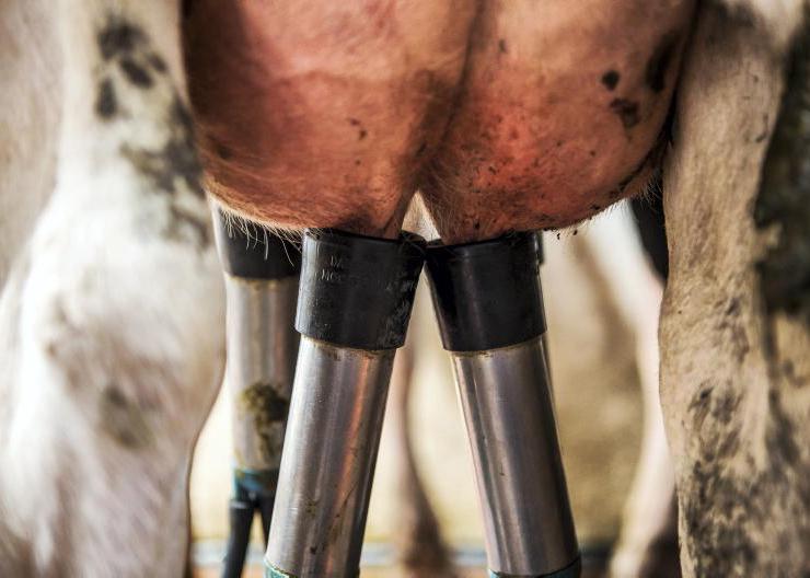 Extra slurry storage to falling milk supplies - the findings behind our survey
