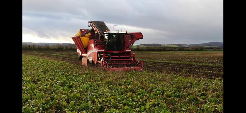 How Kildare father and son built a growing winter feed business on tillage farm