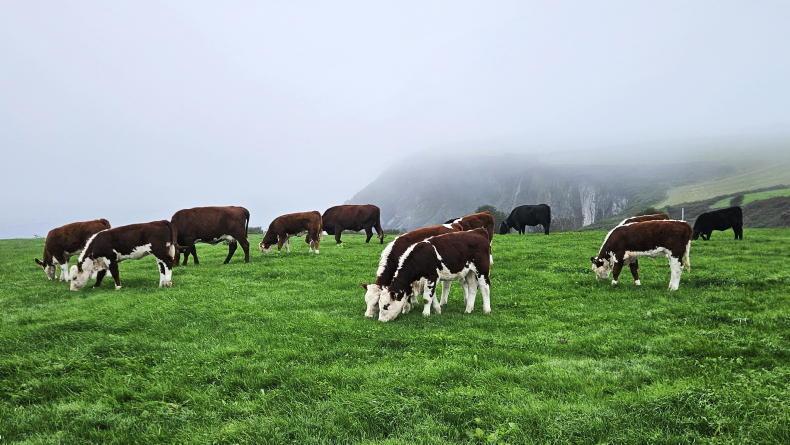 Farmer Writes: raising the breeding bar