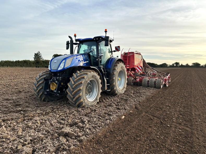 Chickpeas reach the combine as tillage farmers work between the showers