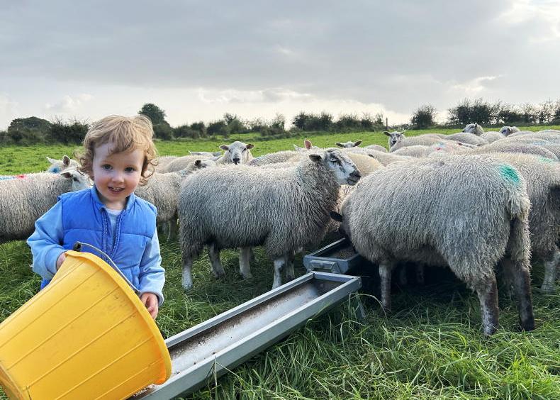 Readers' pictures: some of our favourite photos of the week