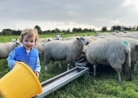 Readers' pictures: some of our favourite photos of the week