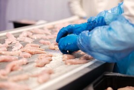 Audit paves way for re-entry of Brazilian poultry into EU just weeks after ban