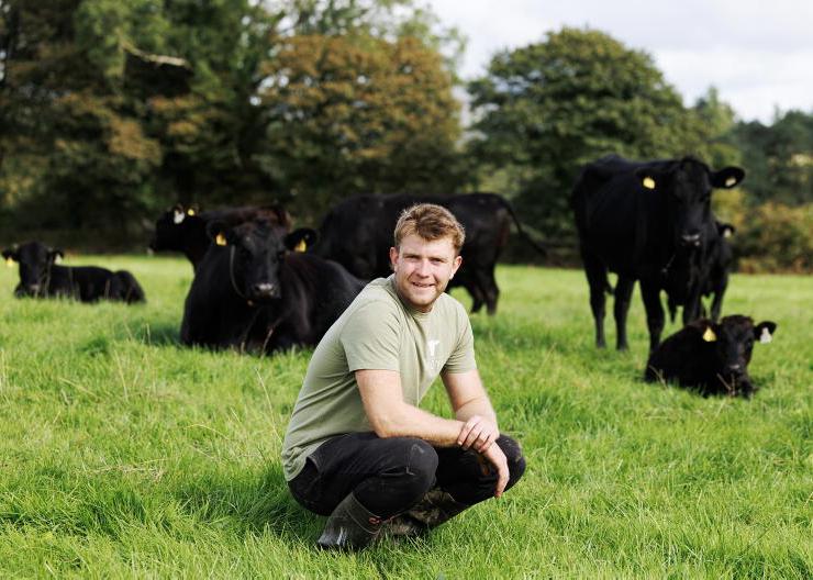 My Farming Week: Jack Skehan, Ballinamult, Co Waterford
