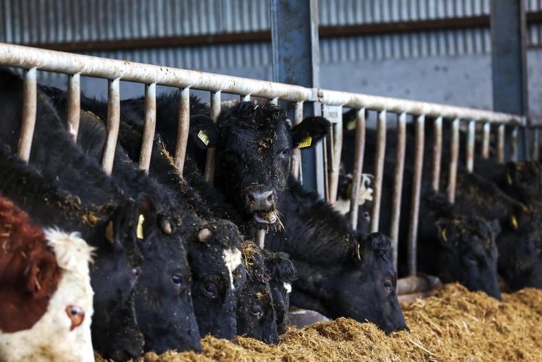 National Beef Finishing event taking place in Kilkenny