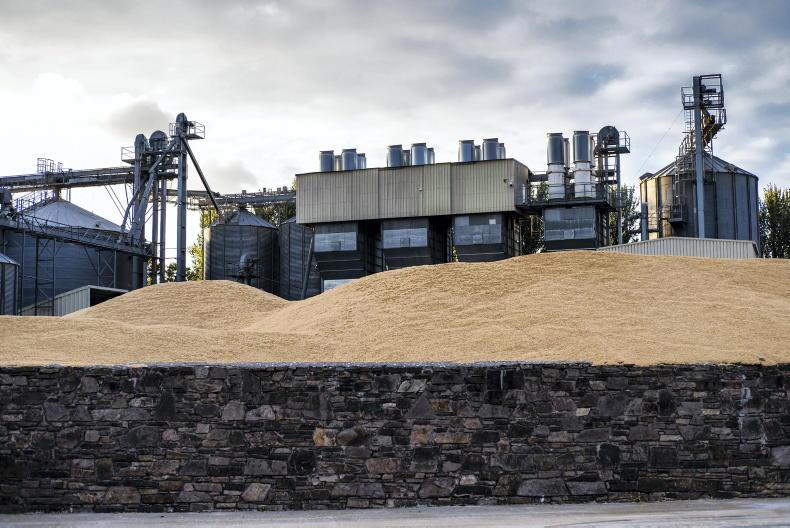 Dairygold announces 2026 harvest grain prices
