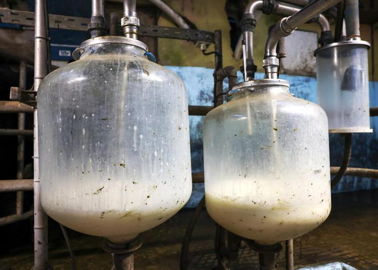 Milk supplies bounce back after drought