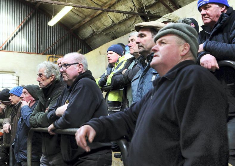 Northern Ireland diary of events