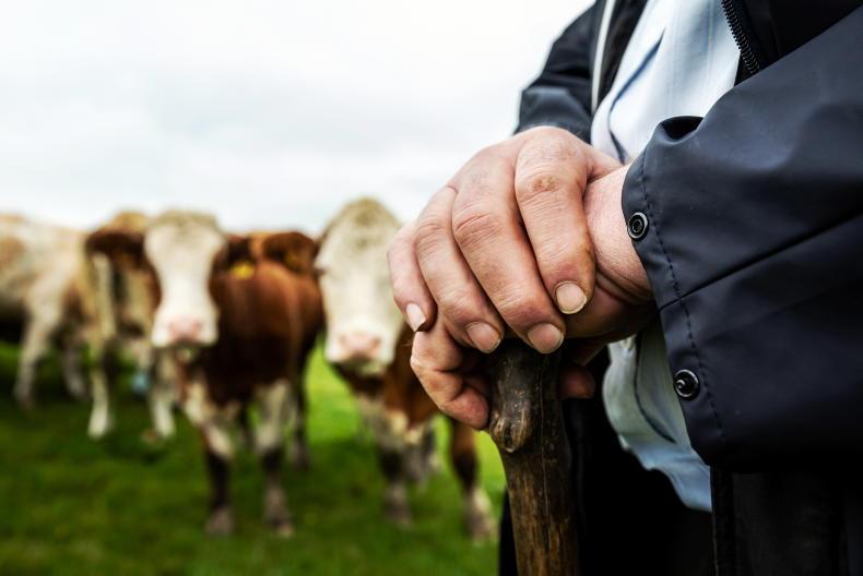Producer organisation scheme reopens with grants of up to €10,000 a year