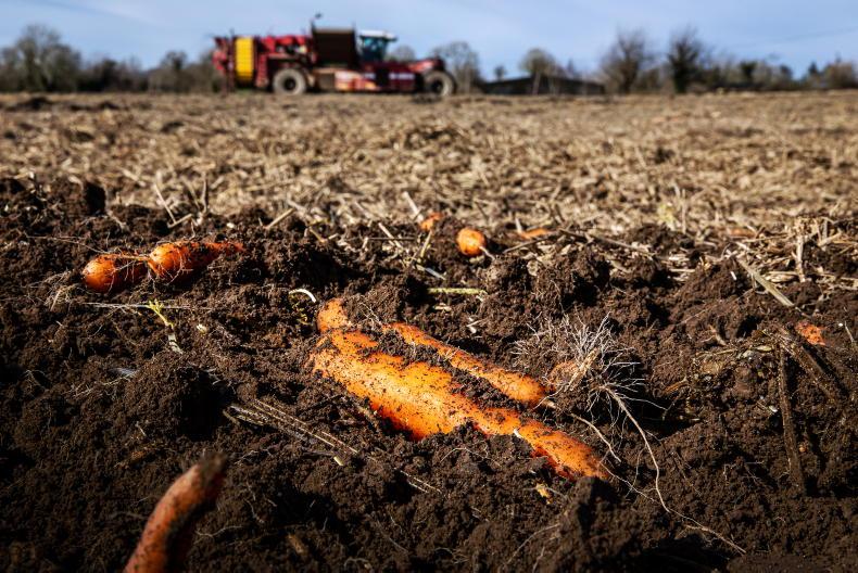 Food price warning for Ireland as weather shocks could raise prices into 2027