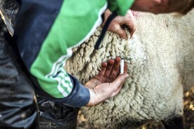Vaccine VAT reduction on the cards in Budget 2027