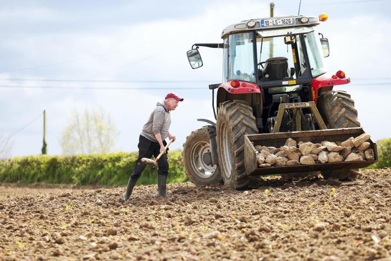 Declining farmer numbers fed into CAP cuts - McDonald