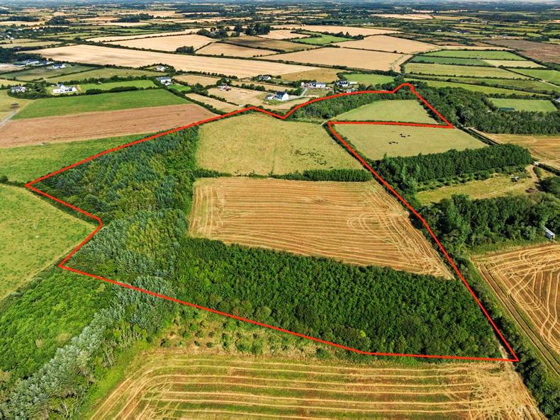 Donated Wexford farm sells for €227,000 and will fund church roof repairs