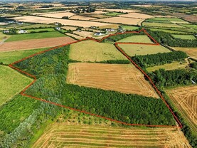 Donated Wexford farm sells for €227,000 and will fund church roof repairs