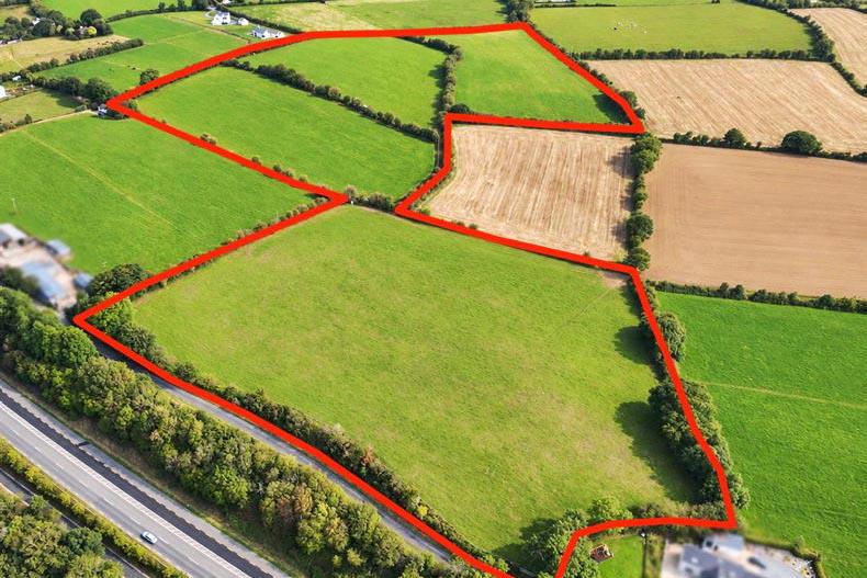 Well-located Kildare land parcels head to auction