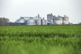 IFA seeks meeting with Boortmalt amid calls to remove charge