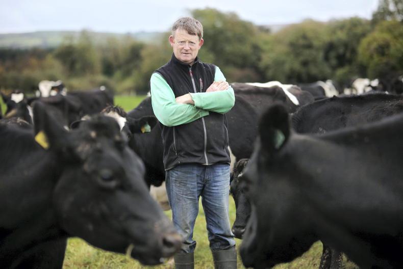 Kerry dairy farmer wins Teagasc FBD Environmental Sustainability Award 