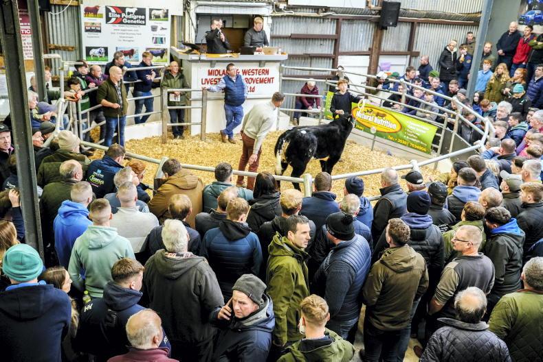 Exhibitors miss out as entries close for week two of Carrick Winter Fair 