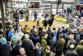 Exhibitors miss out as entries close for week two of Carrick Winter Fair 