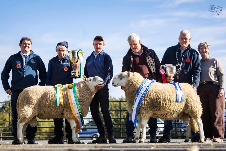 €4,800 top price at 84th Wicklow Cheviot sale