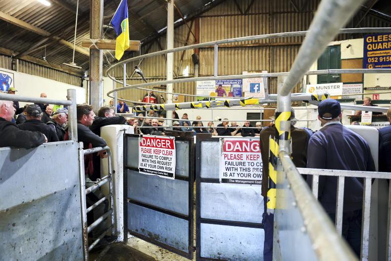 Camera at the Mart: farmers to the fore for weanlings in Cashel