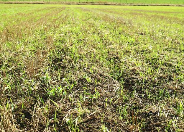 Home Farm: VAT, tax and bills