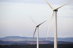 Wind farm connection requires 13ha of forest to be cleared in Cork