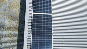 Monaghan farmer 'left in limbo' and unable to maximise solar investment