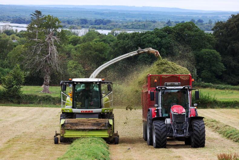 Mixed late-cut silage yields bring poorer quality