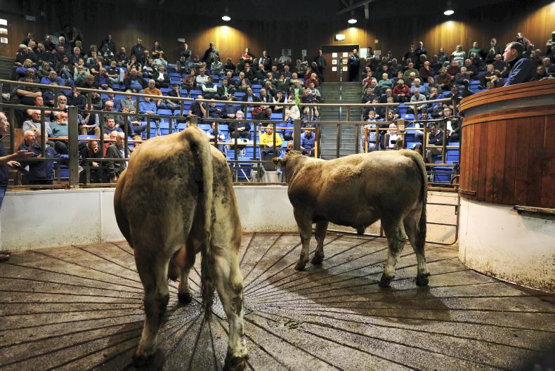 70c/kg difference between Irish and UK beef price