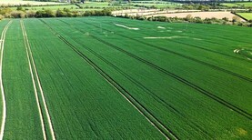 Support schemes won't solve competitiveness crisis in tillage - IGGG