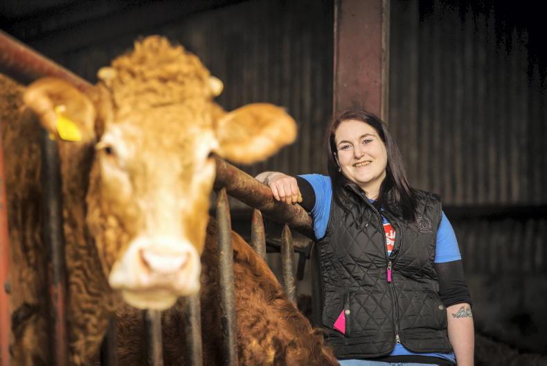 Farmer Writes: 13-year-old cow takes 'one giant leap for cowkind' at hoof trim
