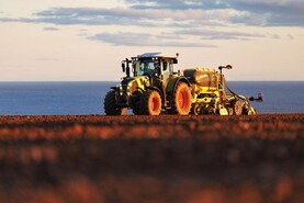 IFA to hold emergency meeting for malting barley growers