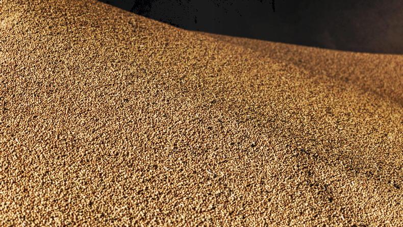 Grain Trends: prices up this week as farmers plant