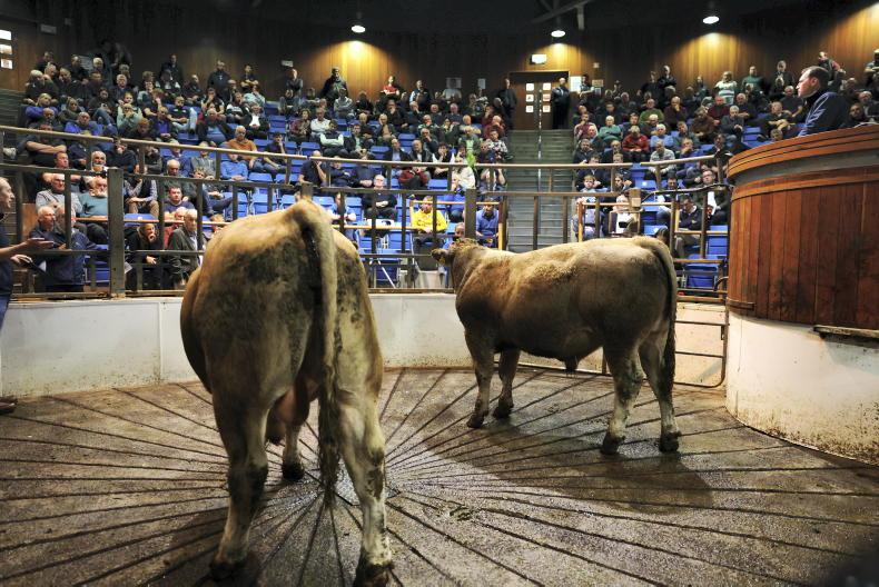 Editorial:  winter finishing concern