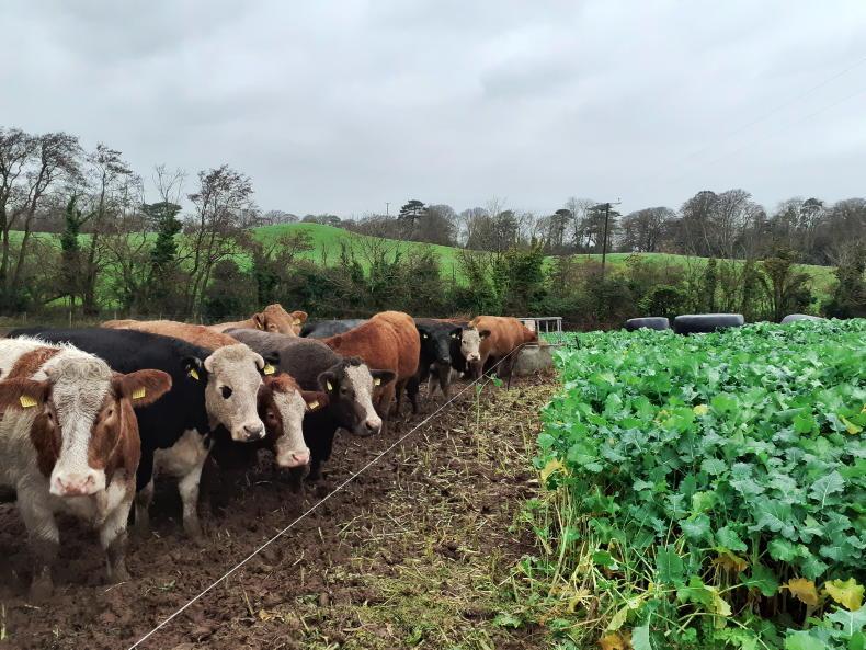 Editorial: tillage farming challenges 