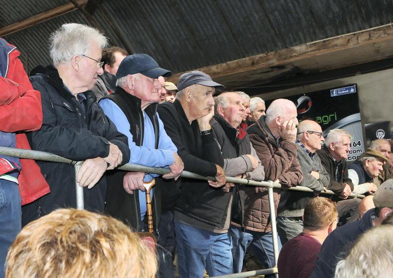 Northern Ireland diary of events