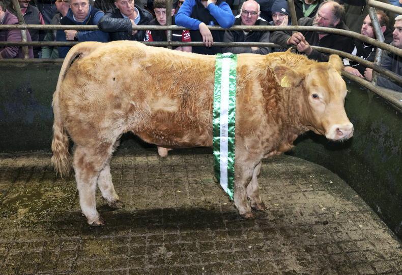 Camera at the Mart: farmer finishers keen for quality in Raphoe