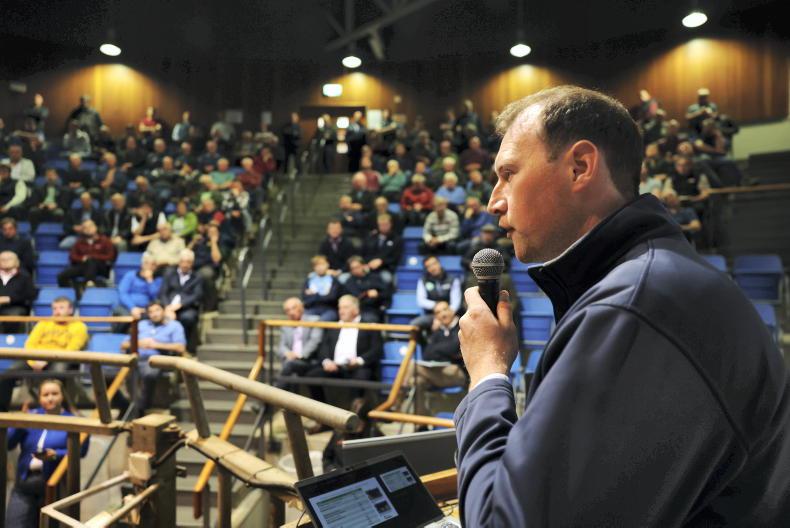 Beef finishers need close to €8/kg to make a margin on cattle bought now