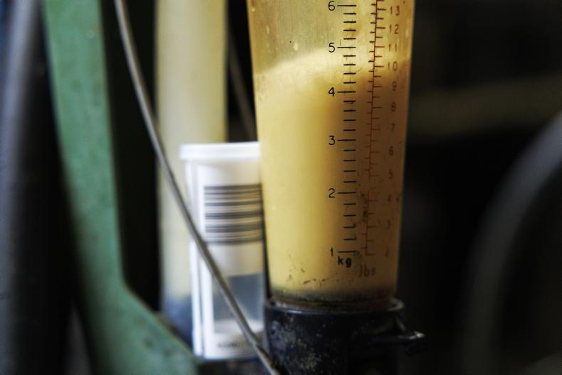 Ornua milk price indicator rises as September market returns strengthen