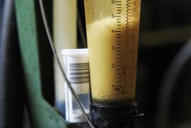 Ornua milk price indicator rises as September market returns strengthen