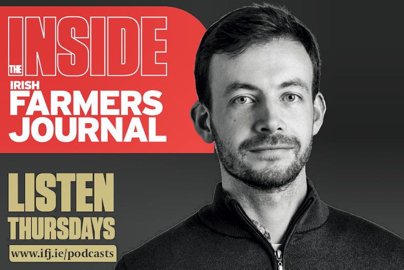 Inside the Farmers Journal: budget, bales, bluetongue and border collies